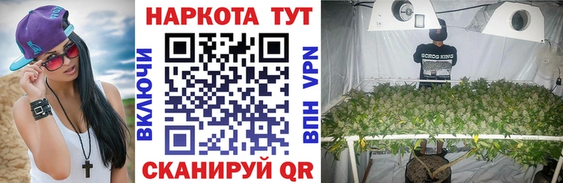 Псилоцибиновые грибы Богородск