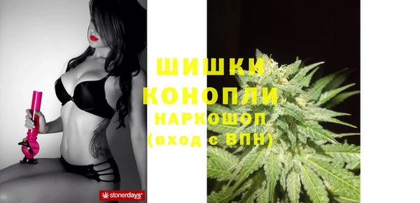mix Белокуриха