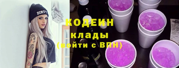 шишки Белоозёрский