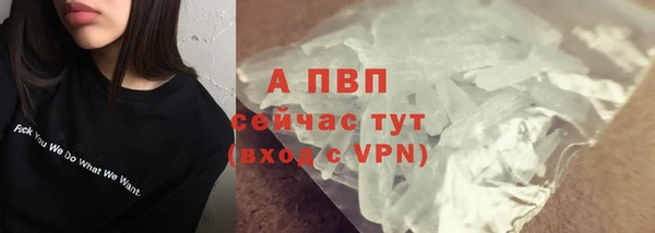 шишки Белоозёрский