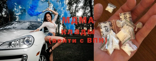 шишки Белоозёрский