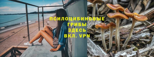 меф Богородицк