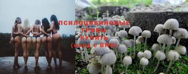 меф Богородицк