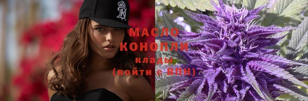 шишки Белоозёрский